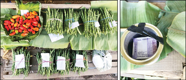 Assorted vegetables and fruits kept for sale are seen unattended at a roadside stall in Kami village under Phek district in this photo taken on October 15. A makeshift box was put up for customers to put their money after buying the items as per their price tags. There were a couple of such stalls along the road, left unattended even in the evening. (Morung Photo)